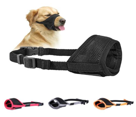 Why you should think about getting your pet dog muzzles and squeaky plush toys Why you should think about getting your pet dog muzzles and squeaky plush toys